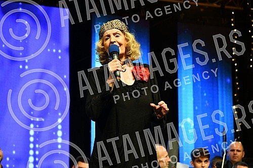 On the third day of the first festival of the Golden Harmonica of Kraljevo, the concert 