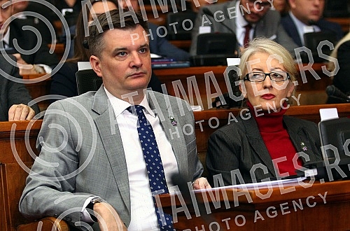 The second session of the Second Regular Session of the National Assembly of Serbia in 2022.Druga sednica Drugog redovnog zasedanja Narodne skupstine Srbije u 2022. godini.