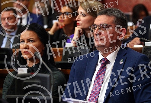 The second session of the Second Regular Session of the National Assembly of Serbia in 2022.Druga sednica Drugog redovnog zasedanja Narodne skupstine Srbije u 2022. godini.