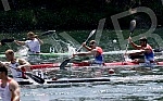 3rd World cup ICF Canoe sprint held in Ada Ciganlija.3. Svetski kup u kajaku i kanuu - sprint na Adi Ciganliji. 