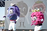 In front of the Gallery Shopping Center in Belgrade on the water, a promotion and presentation of the mascots of the World Athletics Championships was held in the Belgrade22 hall - Malina Li and Sljivan Iv.Ispred Trznog centra Galerija na Beogradu 