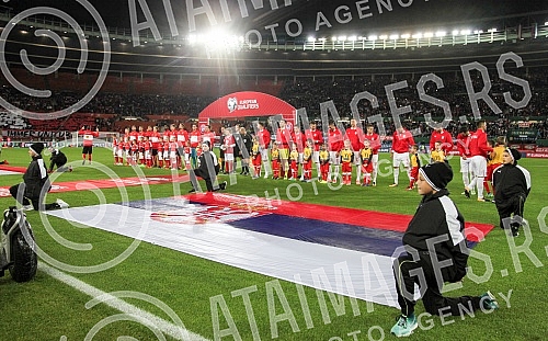 FIFA World Cup qualification match between Serbia and Austria held at Ernst Happel stadium. Utakmica kvalifikacija za Svetsko prvenstvo u fudbalu izmedju Srbije i Austrije odrzana na Ernst Hapel stadionu. 