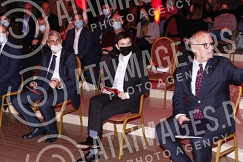 The multi-year project 