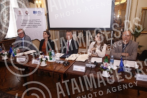 The final conference of the project 