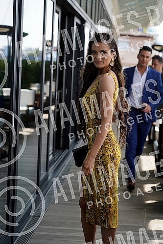 A presentation of the 