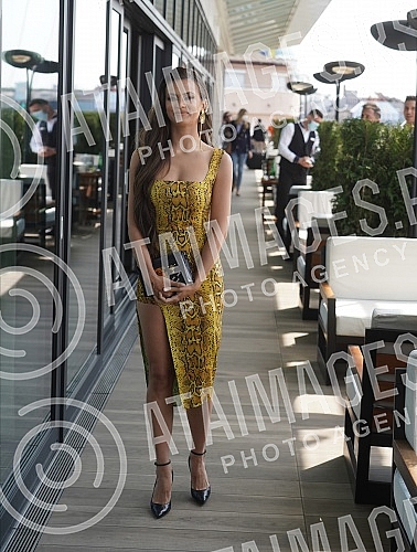 A presentation of the 