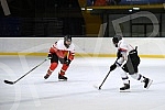 A friendly match between the Serbia Girls team (the players of the team are girls from 2002 to 2008 and will be the future women's national team of Serbia in ice hockey) and the Bulgarian national team was played in the Pionir Ice Hall.Prijateljska