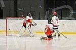 A friendly match between the Serbia Girls team (the players of the team are girls from 2002 to 2008 and will be the future women's national team of Serbia in ice hockey) and the Bulgarian national team was played in the Pionir Ice Hall.Prijateljska