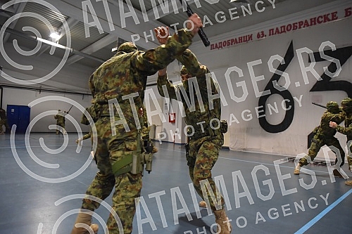 The President of the Republic of Serbia, Aleksandar Vucic, is staying in the Nisava District, and on the third day he visited the Military Airport 