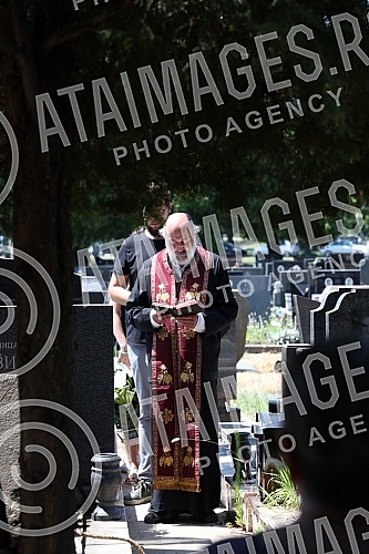 The deputy head of the BIA, Milorad Bracanovic, was buried at the New Cemetery on Bezanijska Kosa.Zamenik sefa BIA Milorad Bracanovic sahranjen je na Novom groblju na Bezanijskoj kosi.
