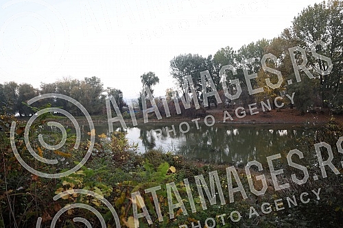 Activists of the Sodros Survivor camp organized a musical party.Aktivisti Sodros Survivor kampa organizovali su muzicko druzenje.