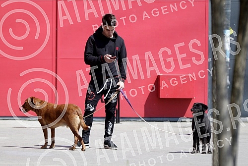 Singer Sara Reljic with brother Filip walking dogs (paparazzo).Pevacica Sara Reljic sa bratom Filipom seta kucice (paparaco).