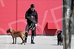 Singer Sara Reljic with brother Filip walking dogs (paparazzo).Pevacica Sara Reljic sa bratom Filipom seta kucice (paparaco).