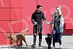 Singer Sara Reljic with brother Filip walking dogs (paparazzo).Pevacica Sara Reljic sa bratom Filipom seta kucice (paparaco).
