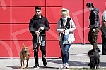 Singer Sara Reljic with brother Filip walking dogs (paparazzo).Pevacica Sara Reljic sa bratom Filipom seta kucice (paparaco).