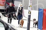 Singer Sara Reljic with brother Filip walking dogs (paparazzo).Pevacica Sara Reljic sa bratom Filipom seta kucice (paparaco).