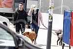 Singer Sara Reljic with brother Filip walking dogs (paparazzo).Pevacica Sara Reljic sa bratom Filipom seta kucice (paparaco).