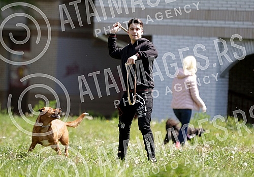 Singer Sara Reljic with brother Filip walking dogs (paparazzo).Pevacica Sara Reljic sa bratom Filipom seta kucice (paparaco).