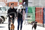 Singer Sara Reljic with brother Filip walking dogs (paparazzo).Pevacica Sara Reljic sa bratom Filipom seta kucice (paparaco).