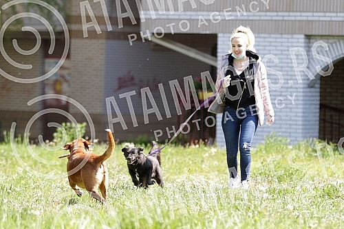 Singer Sara Reljic with brother Filip walking dogs (paparazzo).Pevacica Sara Reljic sa bratom Filipom seta kucice (paparaco).
