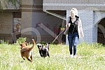 Singer Sara Reljic with brother Filip walking dogs (paparazzo).Pevacica Sara Reljic sa bratom Filipom seta kucice (paparaco).
