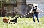 Singer Sara Reljic with brother Filip walking dogs (paparazzo).Pevacica Sara Reljic sa bratom Filipom seta kucice (paparaco).