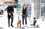 Singer Sara Reljic with brother Filip walking dogs (paparazzo).Pevacica Sara Reljic sa bratom Filipom seta kucice (paparaco).