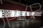 The exhibition 