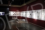 The exhibition 