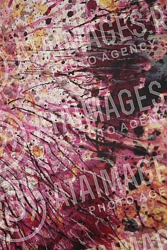 An exhibition of paintings titled 