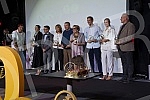 The Golden Antenna Awards in 2020 were presented at the FEDIS International Drama and Series Festival.Na medjunarodnom Festivalu drama i serija FEDIS dodeljene su nagrade  