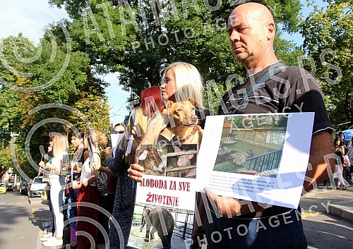 Protest in front of the zoo in Belgrade for the construction of the penguin house.Protest ispred Zoloskog vrta u Beogradu povodom gradnje pingvinarijuma