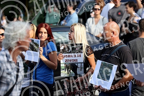 Protest in front of the zoo in Belgrade for the construction of the penguin house.Protest ispred Zoloskog vrta u Beogradu povodom gradnje pingvinarijuma
