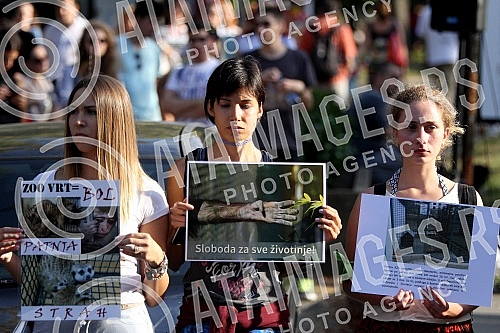 Protest in front of the zoo in Belgrade for the construction of the penguin house.Protest ispred Zoloskog vrta u Beogradu povodom gradnje pingvinarijuma