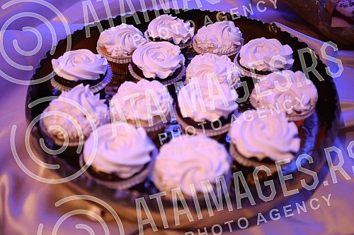 Opening of the Madeleine Palace of Art, the new exclusive project of Philip and Madlena Zepter. Otvaranje Palate umetnosti Madlena, novog eksluzivnog projekta Filipa i Madlene Cepter.