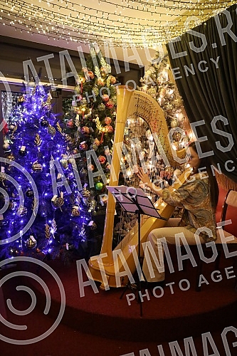 Opening of Vuk's Christmas Corner - the first Christmas concept pop-up store in Belgrade.Otvaranje Vukovog bozicnog kutka - prve Christmas concept pop-up prodavnice u Beogradu.