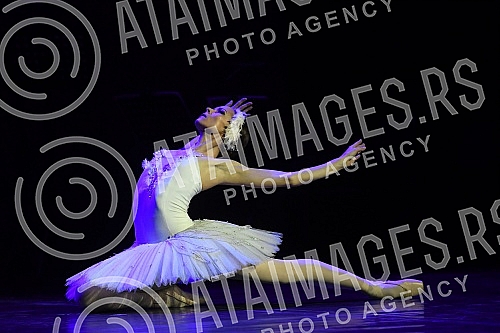 Ana Djuric, champion of the Serbian National Theater in Novi Sad, in the legendary classical ballet Swan Lake, on stage in the role of Odette, the queen of swans.Ana Djuric, prvakinja Srpskog narodnog pozorista u Novom Sadu, u legendarnom klasicnom