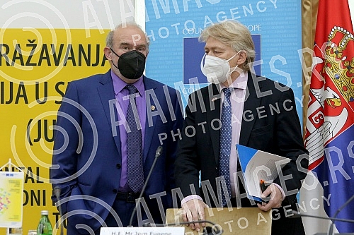 The Council of Europe conference 