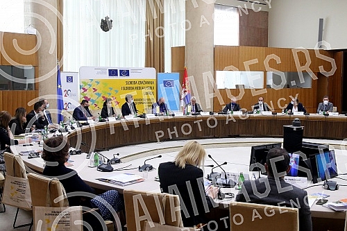 The Council of Europe conference 