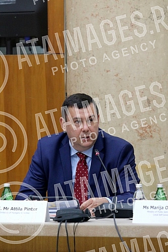 The Council of Europe conference 