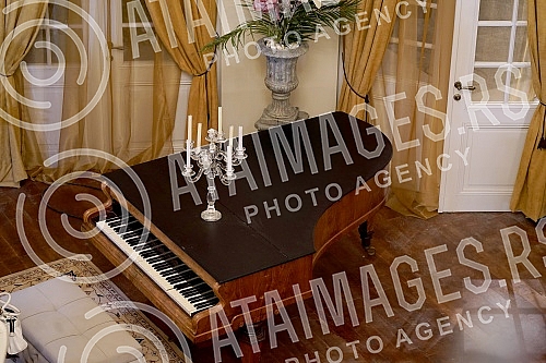 In consultation with the American production company CBS, which owns the license, Emotion Production in cooperation with TV Pink in Simanovci has started filming the domestic version of the famous series 