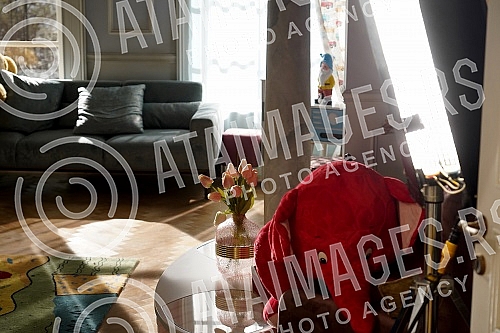 In consultation with the American production company CBS, which owns the license, Emotion Production in cooperation with TV Pink in Simanovci has started filming the domestic version of the famous series 