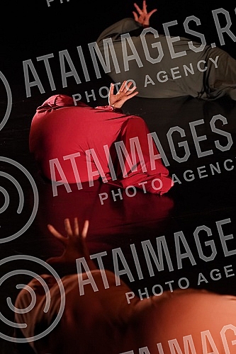 Special performance of the play 