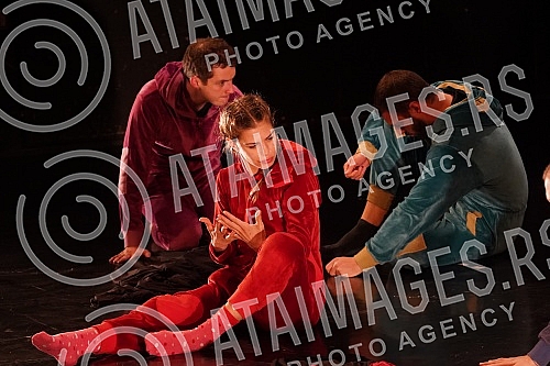 Special performance of the play 