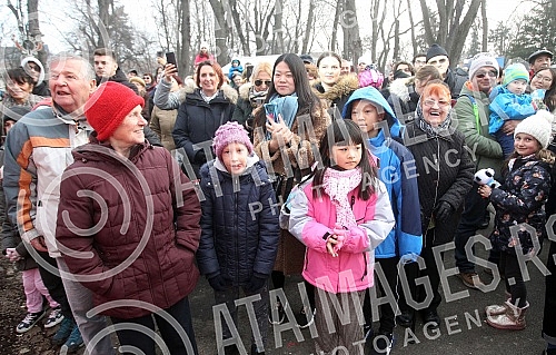 The performance of a Chinese art troupe in Kalemegdan as part of the Chinese New Year Fair.Nastup kineske umetnicke trupe na Kalemegdanu u sklopu kineskog novogodisnjeg vasara .