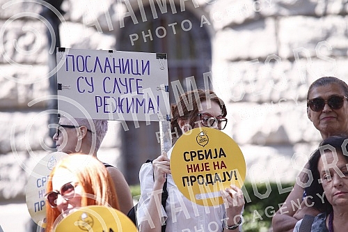 Behind the House of the National Assembly, a press conference was held for the Initiative for Change and the Alliance of Environmental Organizations of Serbia (SEOS) due to the violation of the Law on People's Initiative.Iza Doma Narodne skupstine