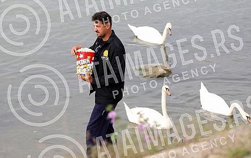 Former volleyball player Vanja Grbic and her family feed swans on the promenade on May 25 on the Danube.Bivsi odbojkas Vanja Grbic sa porodicom hrani labudove na setalistu 25 maj na Dunavu.