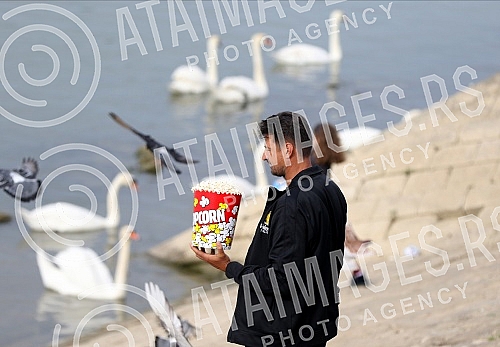 Former volleyball player Vanja Grbic and her family feed swans on the promenade on May 25 on the Danube.Bivsi odbojkas Vanja Grbic sa porodicom hrani labudove na setalistu 25 maj na Dunavu.