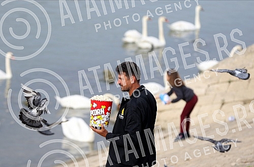 Former volleyball player Vanja Grbic and her family feed swans on the promenade on May 25 on the Danube.Bivsi odbojkas Vanja Grbic sa porodicom hrani labudove na setalistu 25 maj na Dunavu.