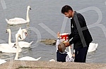 Former volleyball player Vanja Grbic and her family feed swans on the promenade on May 25 on the Danube.Bivsi odbojkas Vanja Grbic sa porodicom hrani labudove na setalistu 25 maj na Dunavu.